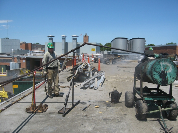 Worker With No Safety Harness